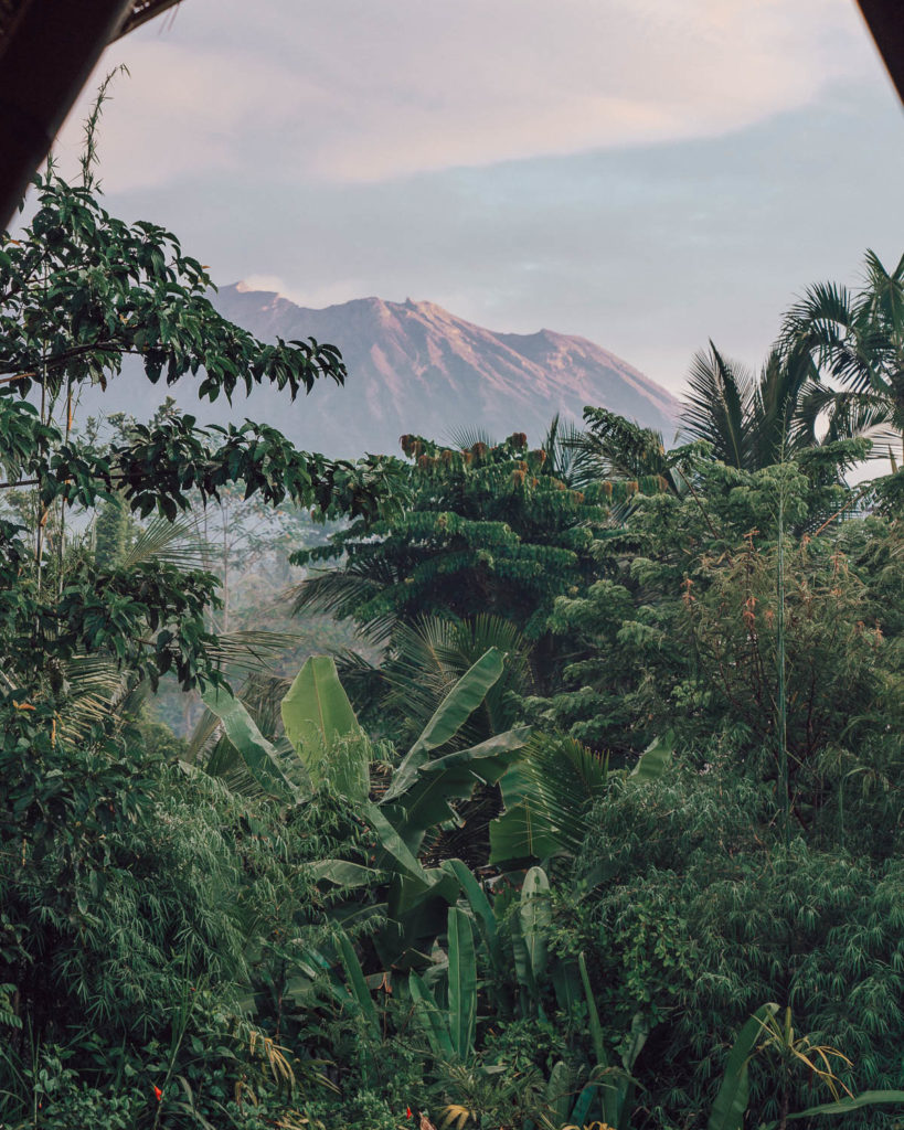 view of Mt Agung volcano peaking through bali jungle 