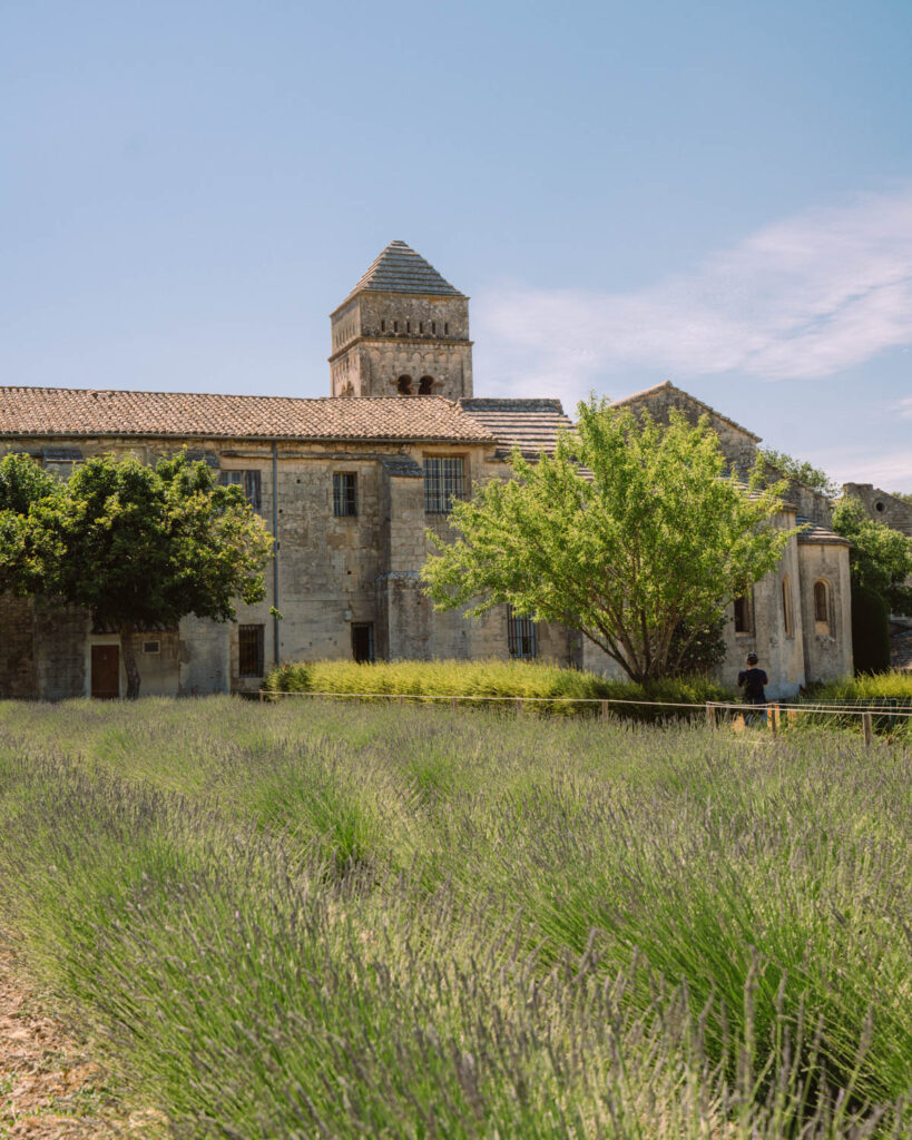 gardens of Saint Remy Asylum  Provence france