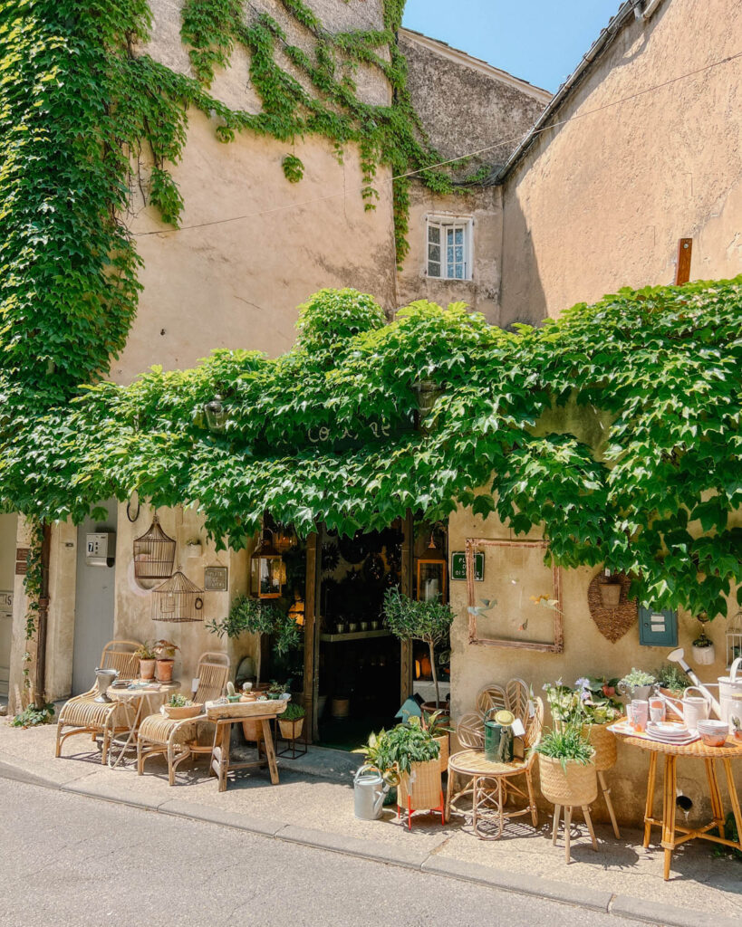 boutique shop overed in grape vine in Lourmarin village, provence france 