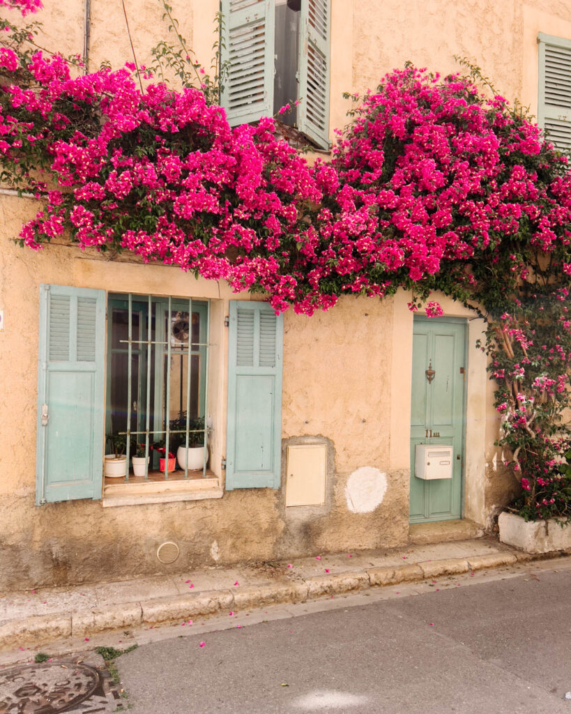 traditional house with pink flowers in Antibes south of france 