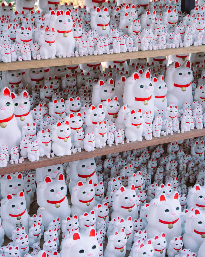 Lukcy cat temple Tokyo, places to visit in tokyo, 