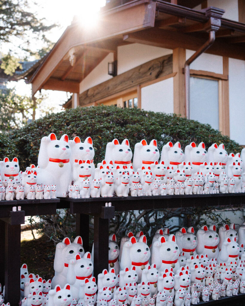 unique things to do in tokyo, Lucky Cat Temple, 