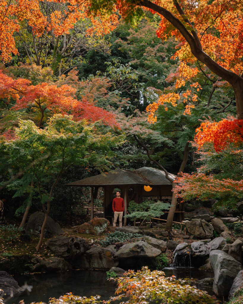 Rikugien Gardens, best japanese gardens in tokyo, Autumn foliage spots tokyo