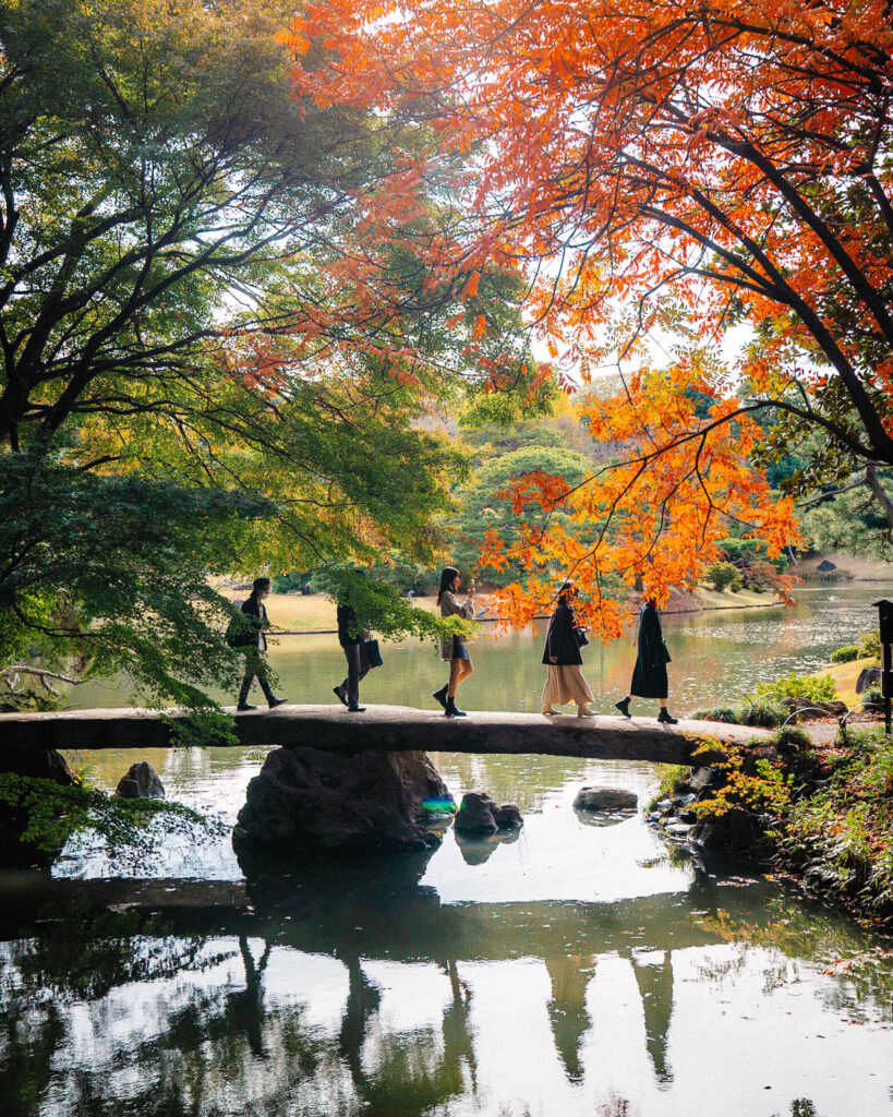 Rikugien Gardens, best japanese gardens in tokyo, best autumn foliage spots Tokyo 