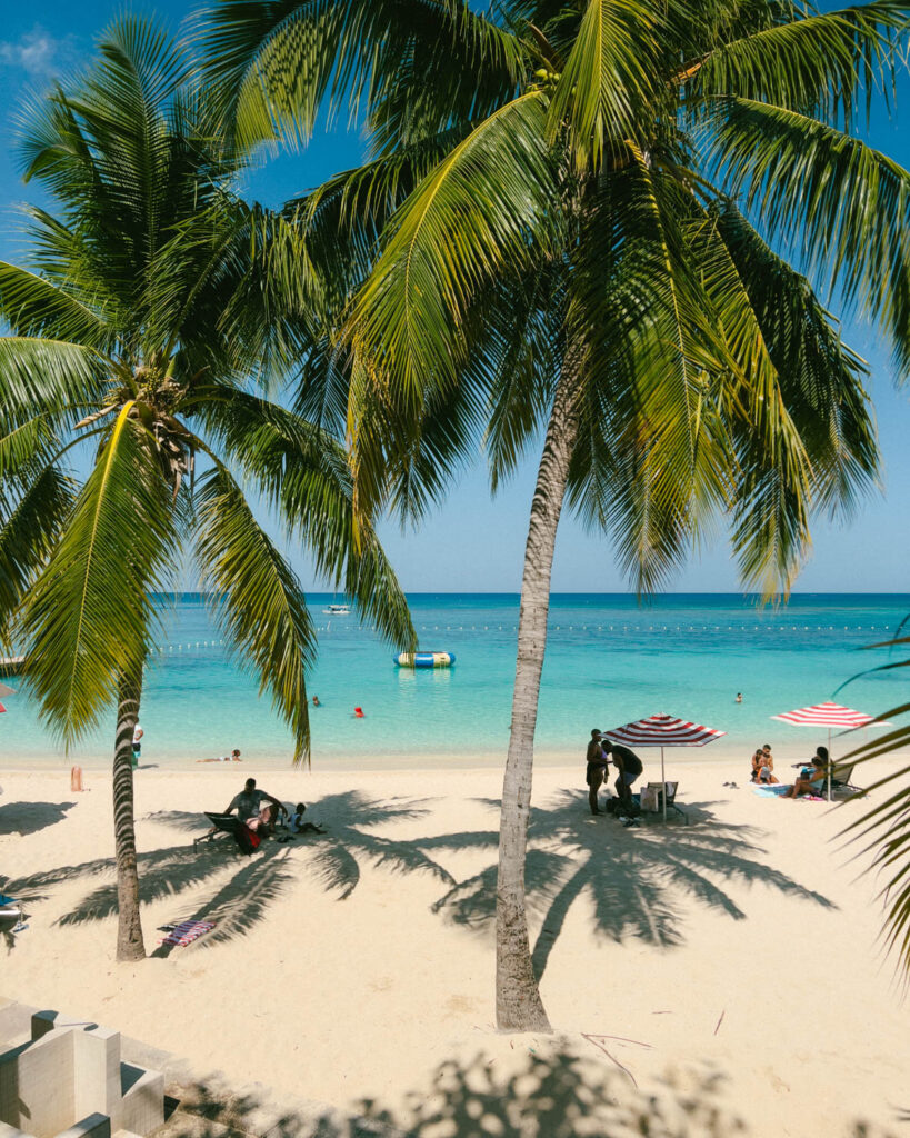 coconut palms and beach umbrellas in montego bay beach jamaica