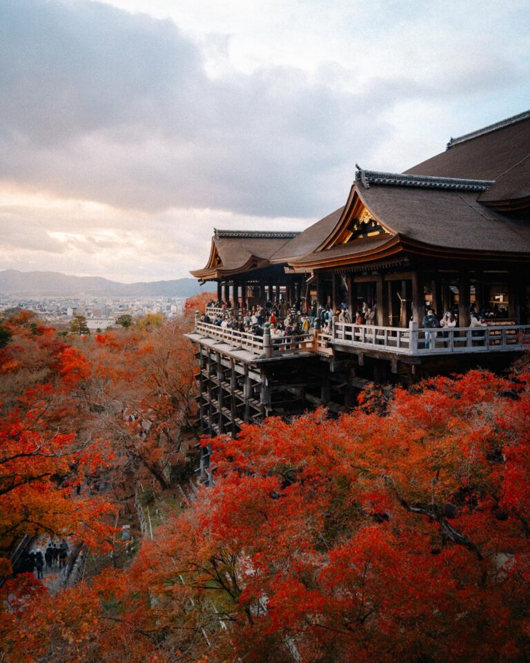 Kyoto Autumn | Our Top Locations for Catching Fall Foliage