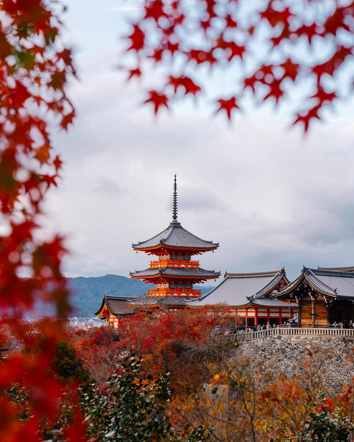 Autumn in Kyoto | Best Spots for seeing Autumn Leaves