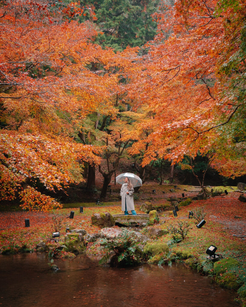 Kyoto Autumn foliage  Daigo-Ji Temple