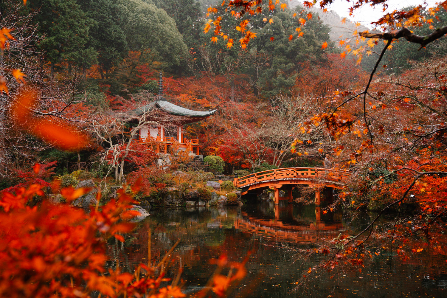 Daigo-Ji Temple Autumn colours
