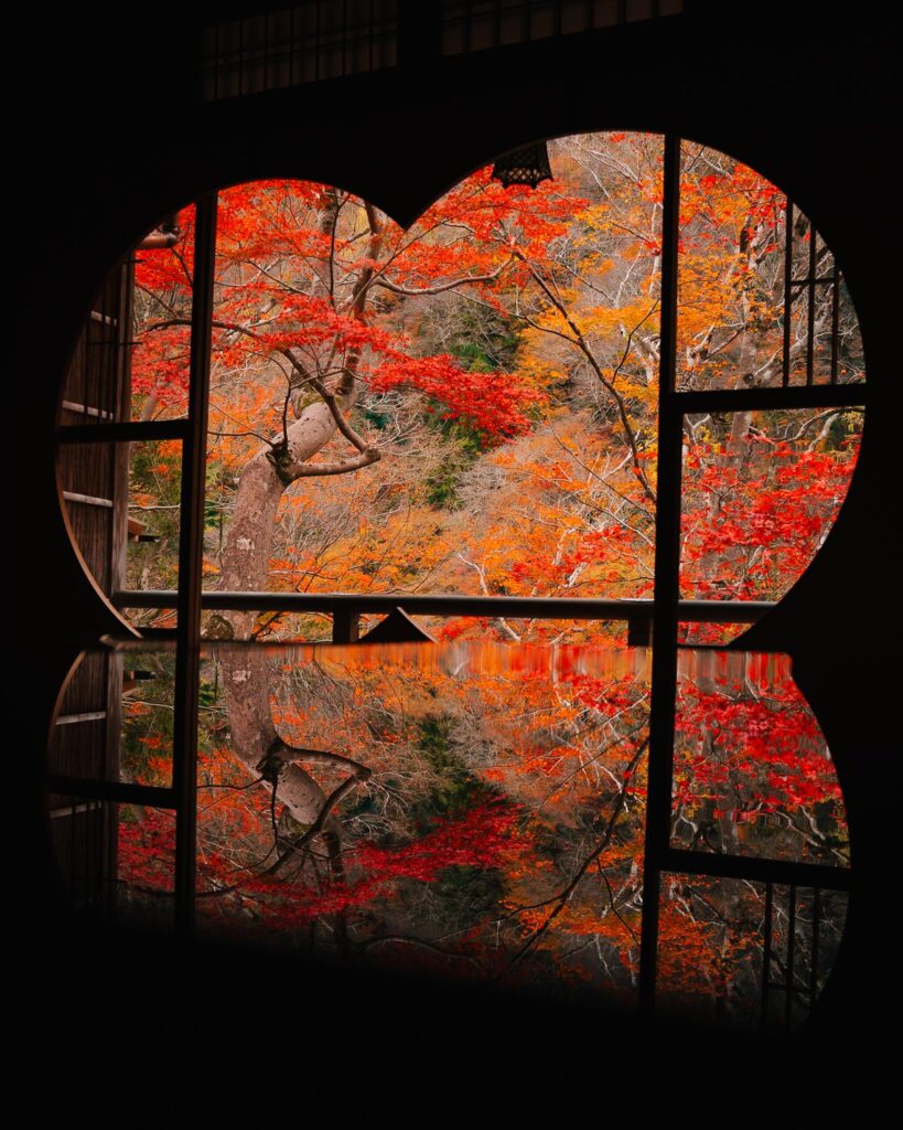 Somekobo Yumeyusai Inc Kyoto japan autumn leaves