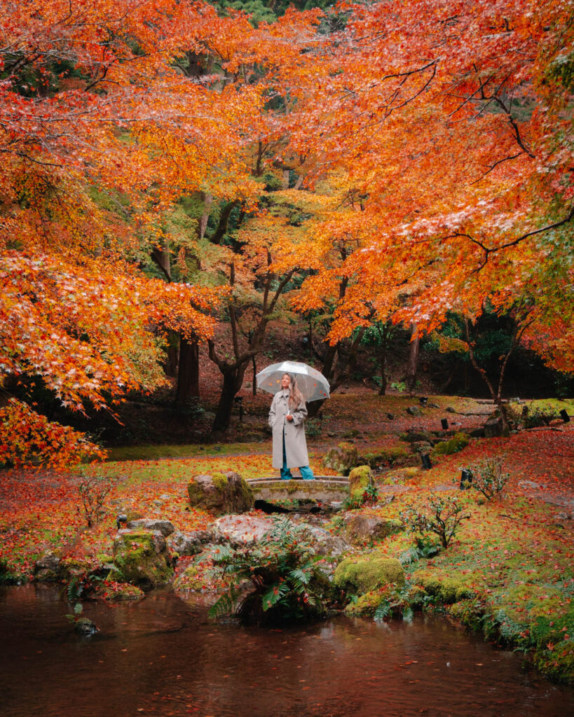 Daigo-ji Temple autumn fall foliage 