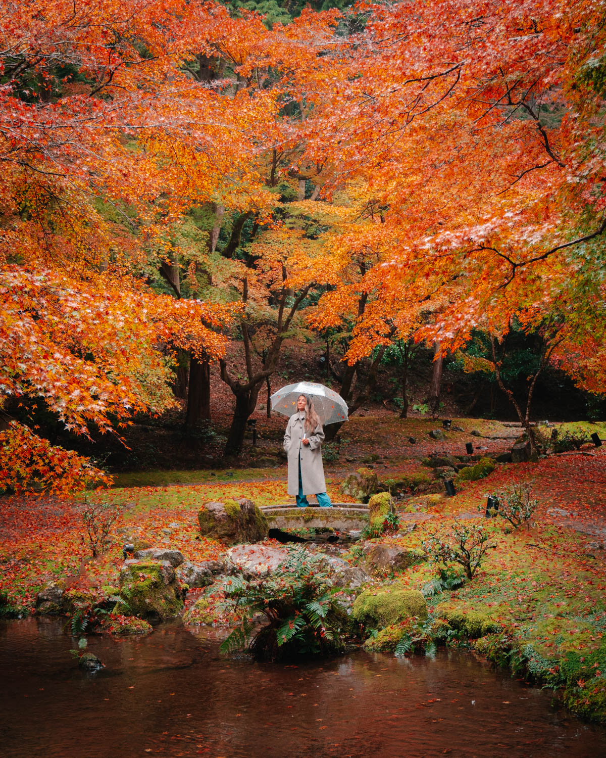 a woman with an umbrella stands in a forest of golden autumn trees in Japan