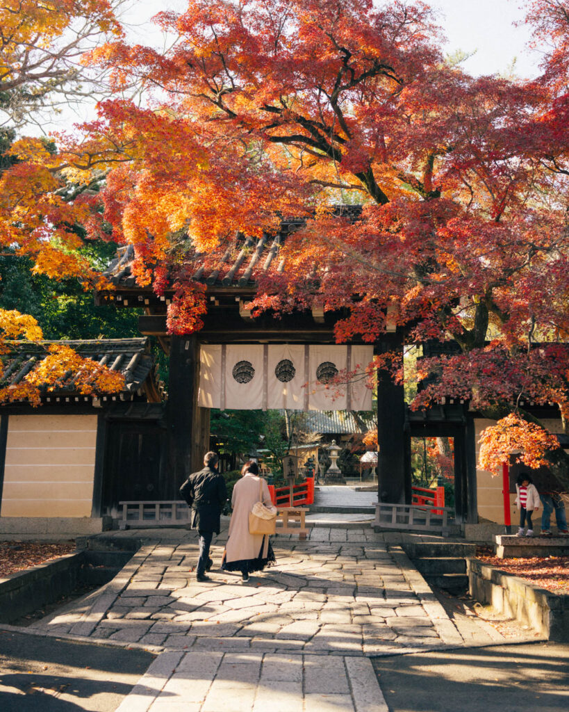 Imamiya shrine Kyoto Autumn