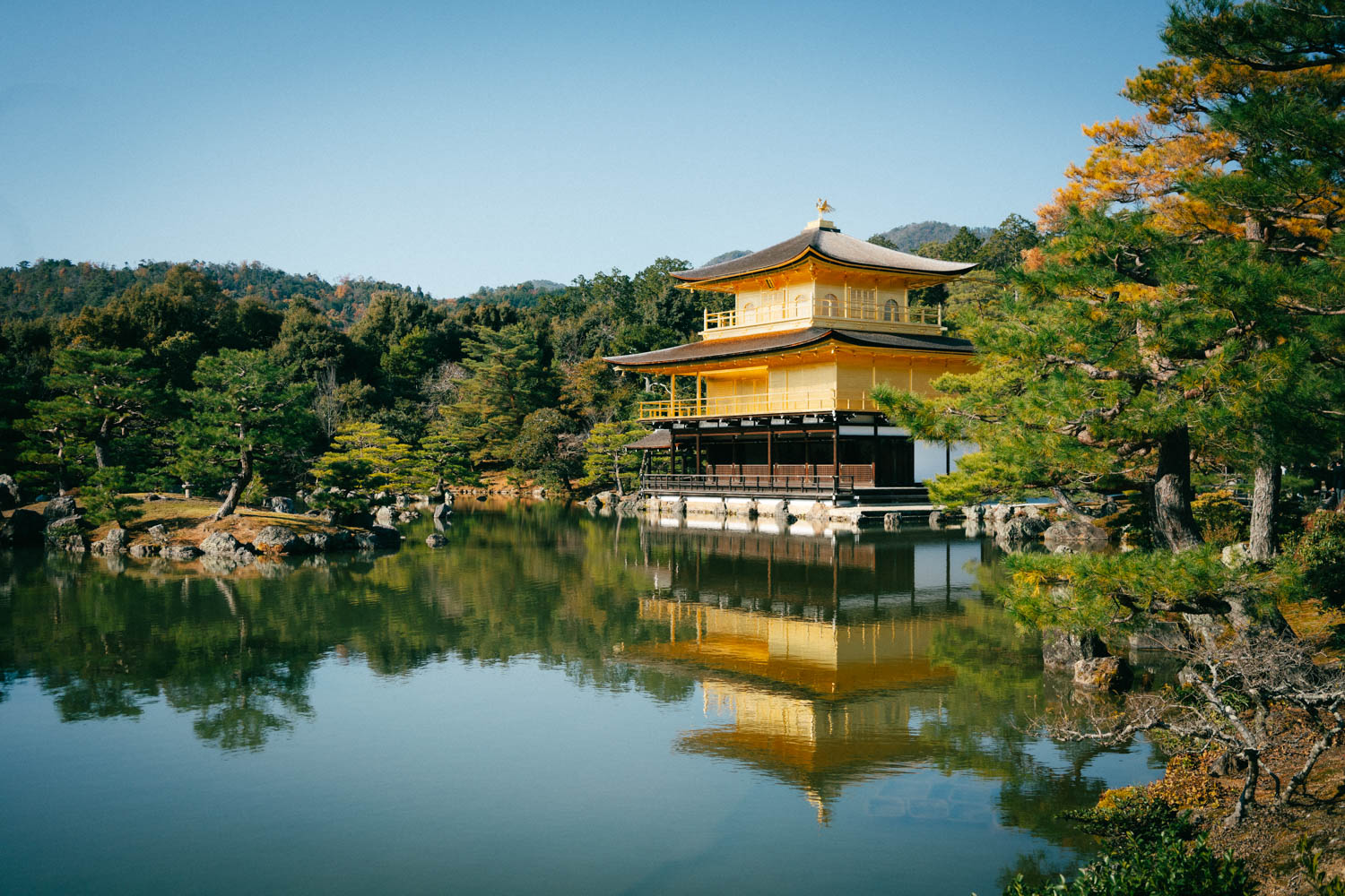 kinkakuj-ji golden temple kyoto
