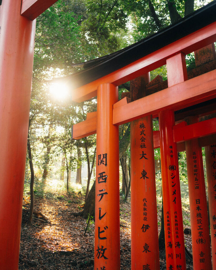 Fushimi Inari Torii Gates kyoto