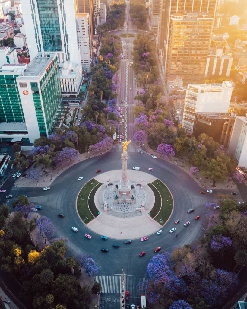 Avenida Reforma from above with purple jacarandas in bloom mexico city