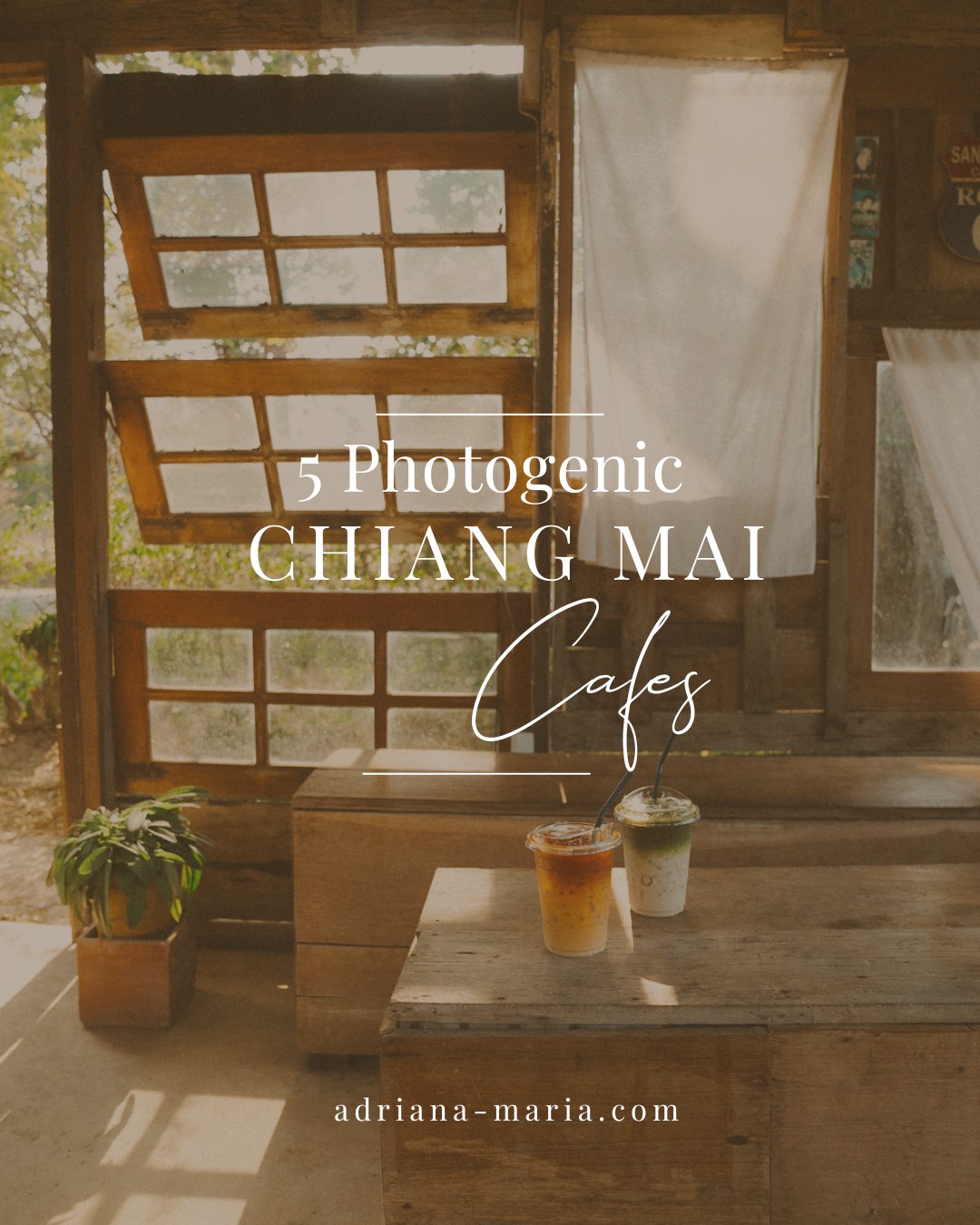 Best Chiang Mai Cafes