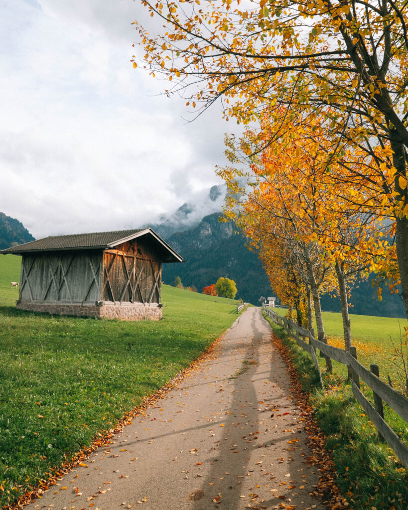 Farm Stay in the Dolomites