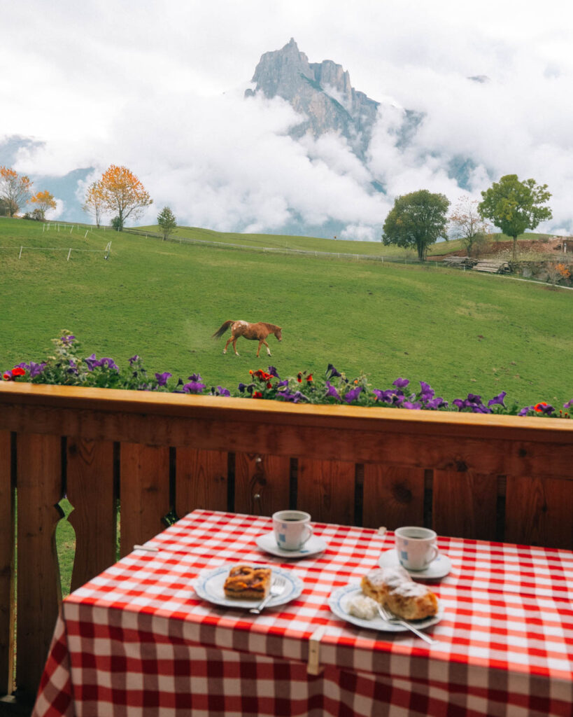 Farm Stay in the Dolomites