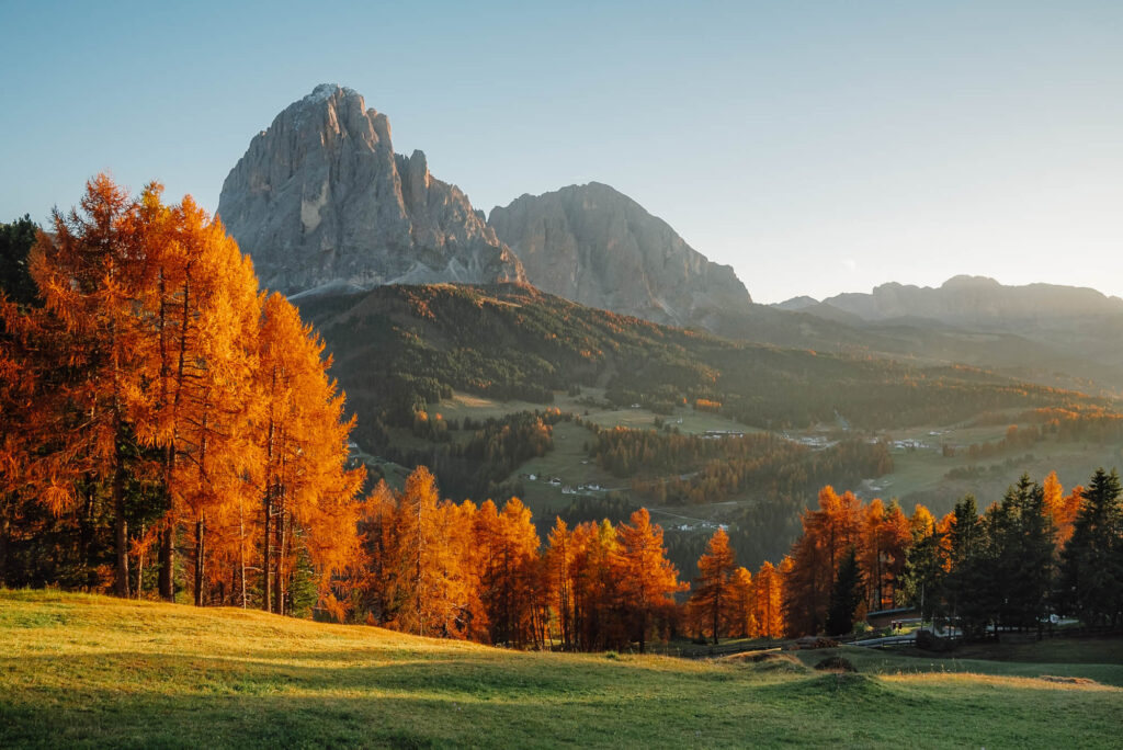 Golden larch trees glowing under the soft morning light with the rugged peaks of the Dolomites in the background. A valley dotted with small villages stretches into the distance, blending green and autumn hues.