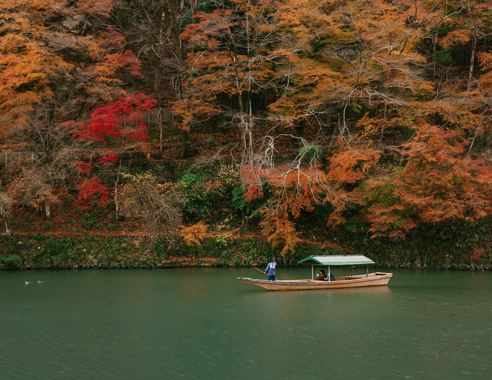 a boat drifts down a river in kyoto japan surrounded by vibrant red autumn foliage